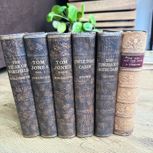 Vintage classic literature - classic,