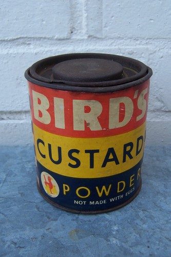 Vintage 1960 birds - birds, custard